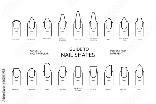 Guide to most popular perfect and different Nail Shapes with names. Vector Stock Set Icons. photo