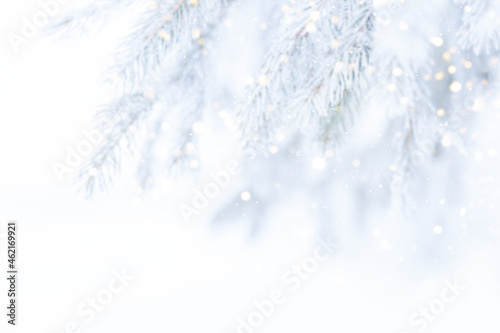 Blurred unfocused Background of snowy branches of Christmas tree and falling snow.