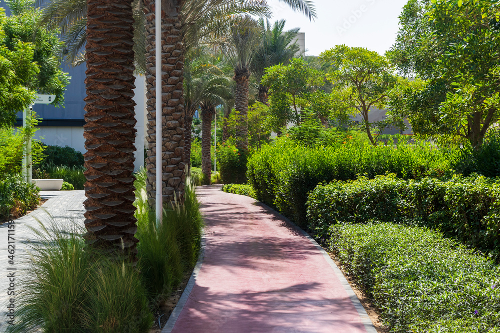 Obraz premium Jogging track in the park. Activity