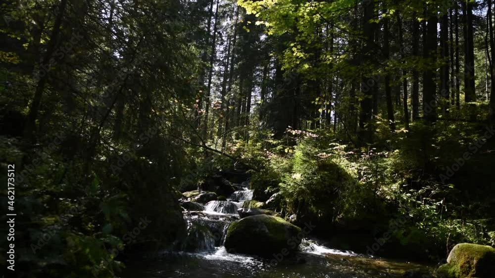 Natural waterfall in the green pine forest with flowing rolling water from rock to rock sun light going through the tree crown. Natural waterfall in the green pine forest with flowing rolling water from rock to rock sun light going through the tree crown.