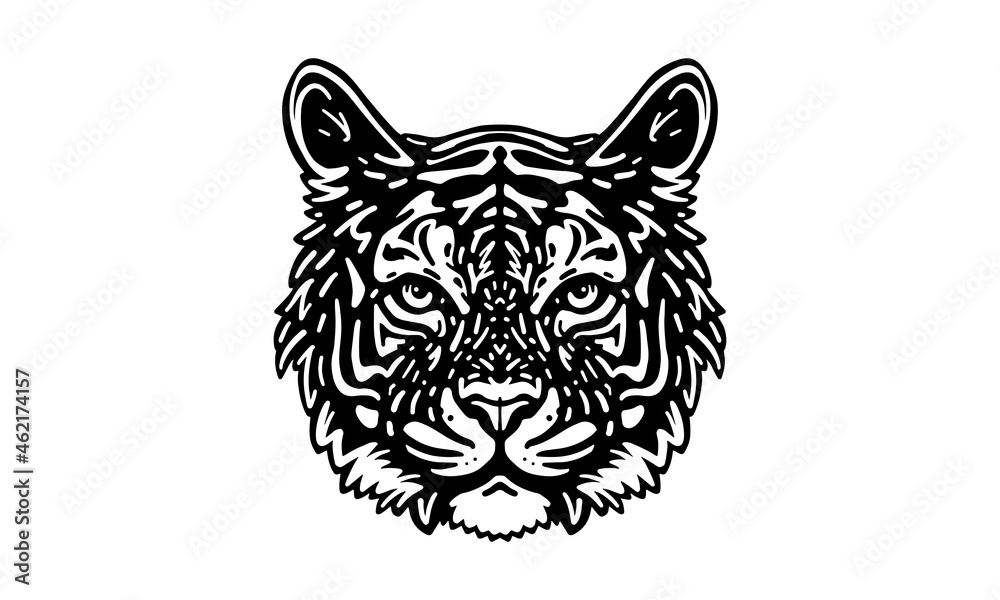 Tiger head illustration, vector, hand drawn, isolated on light background.