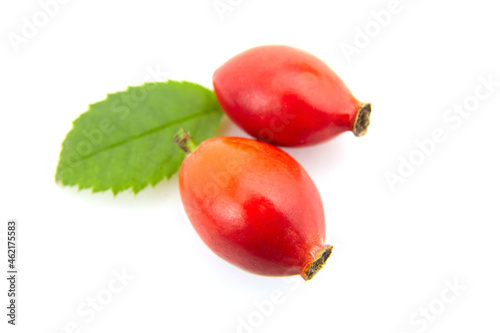 Rose hips briar berries with fresh green leaves isolated on white