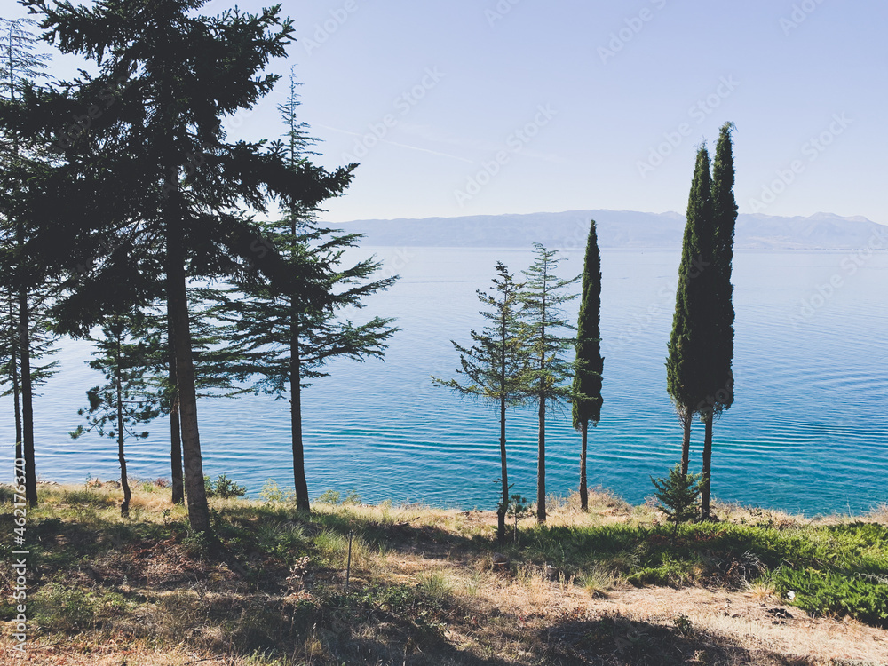 beautiful trees at the lake coast, lake view, blue lake and blue sky beautiful trees at the lake coast, lake view, blue lake and blue sky