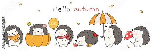 Draw cute hedgehogs in autumn Wodland animal