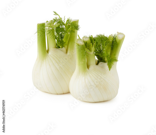dill head fennel isolated on white background with cut out have clipping path