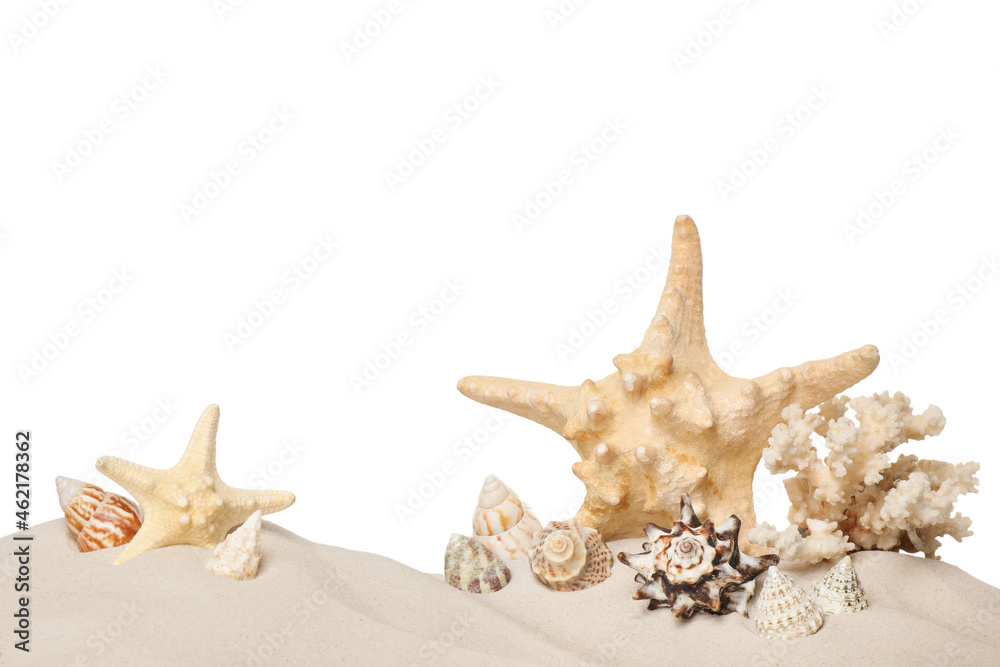 Beautiful starfishes, coral and sea shells in sand on white background Beautiful starfishes, coral and sea shells in sand on white background