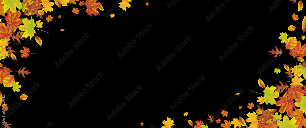 Header Harvest Foliage Black Autumn 2 Header Harvest Foliage Black Autumn 2