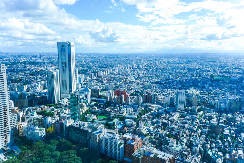 Obraz premium 東京風景