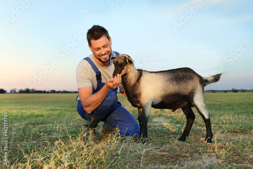 Man feeding goat at farm. Animal husbandry © New Africa