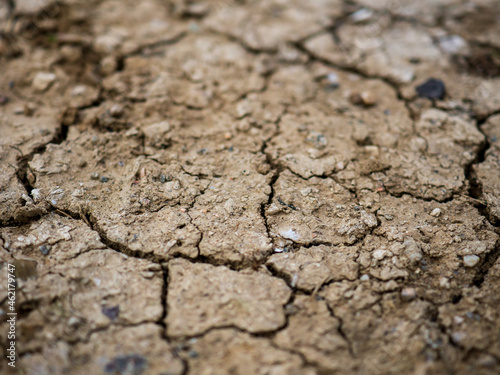 dry cracked earth