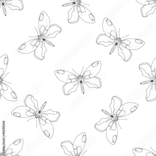A butterfly pattern. seamless pattern of a hand-drawn butterfly sketch, top view, isolated black outline randomly arranged on white © Анастасия Винтовкина