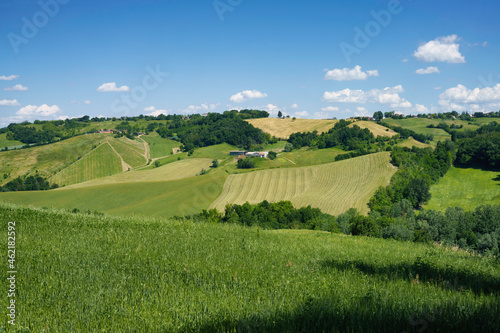 Rural landscape near Sala Baganza and Torrechiara  Parma  at springtime