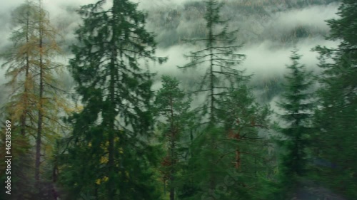 Moody and spooky cinematic forest pass by window. Clouds and fog on mountain cover forest valley. Majestic woods on autumn or winter day in Alps