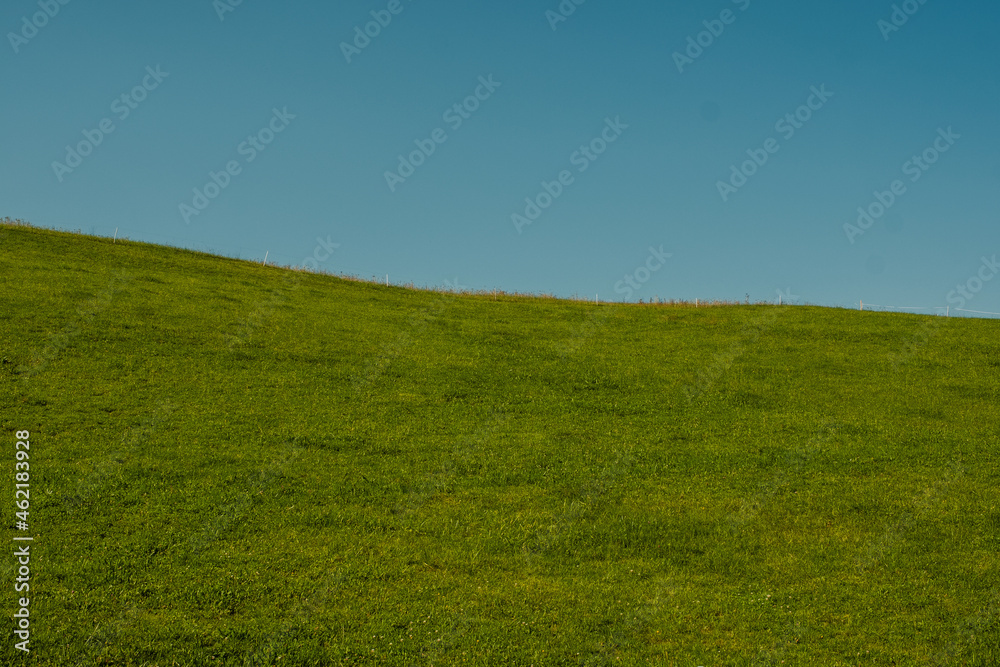 Fototapeta premium Wiese mit Himmel