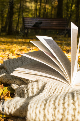 Open book in autumn park, close up.