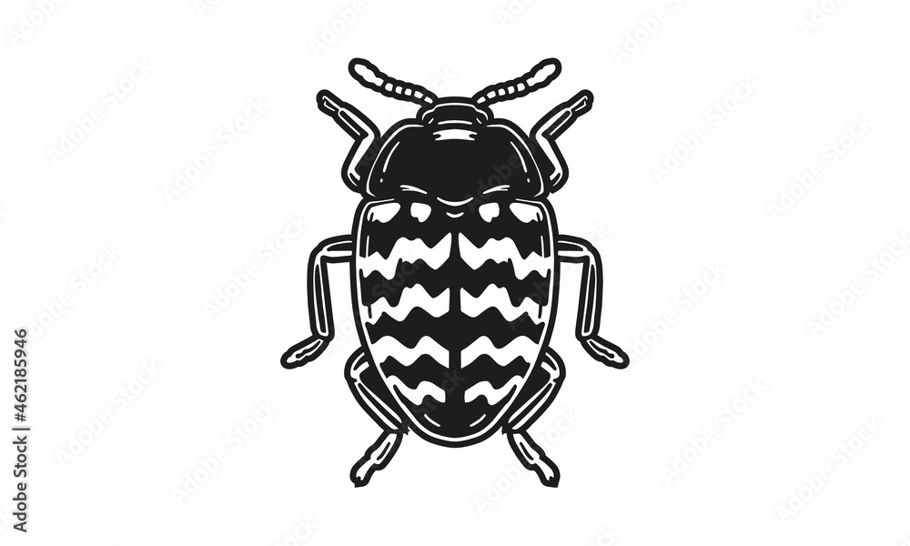 beetle logo on white background beetle logo on white background