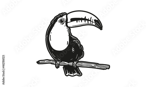 Toucan  illustration, vector, hand drawn, isolated on light background.
