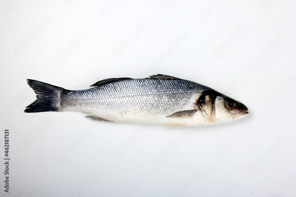 Obraz premium Raw sea bass fish isolated on white background