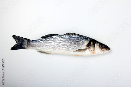 Raw sea bass fish isolated on white background