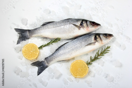 Raw sea bass fish , ice cubes and lemon on white background