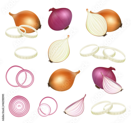 Natural onion. Kitchen healthy food sliced vegetables for eating salad decent vector realistic products illustrations onion