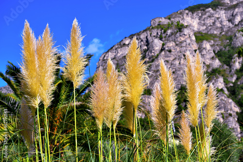 park villa boghi limone sul Garda Italy photo