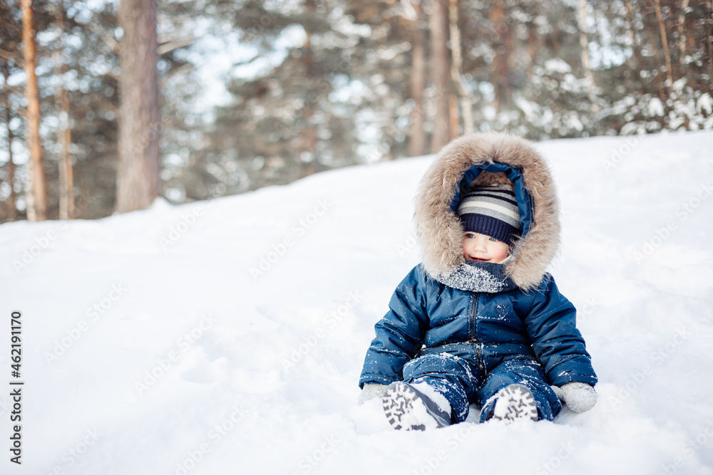 Portrait of child sitting in snow in spruce forest. Little kid boy having fun outdoors in winter nature. Christmas holiday. Cute toddler boy in blue overalls and knitted scarf and cap walking in park.