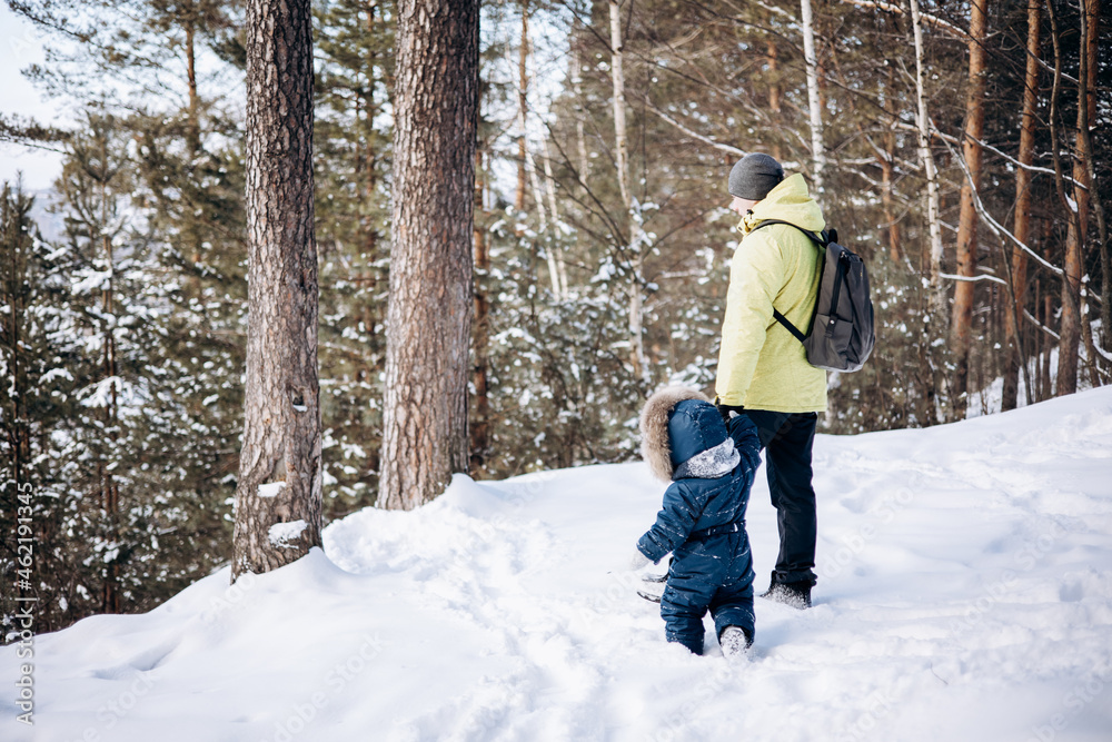 Father and little son holding hands walking in winter pine forest. Man with backpack and toddler boy in blue overalls walking in snowy nature park. Christmas holiday outdoors. People from behind.