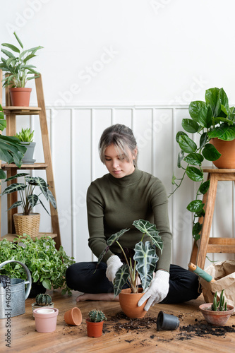 Obraz na plátně Woman repotting a houseplant inside of her house