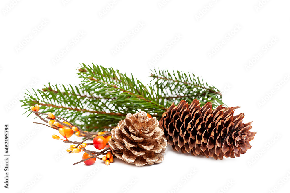 Christmas decorations from cones and branches of a Christmas tree Christmas decorations from cones and branches of a Christmas tree