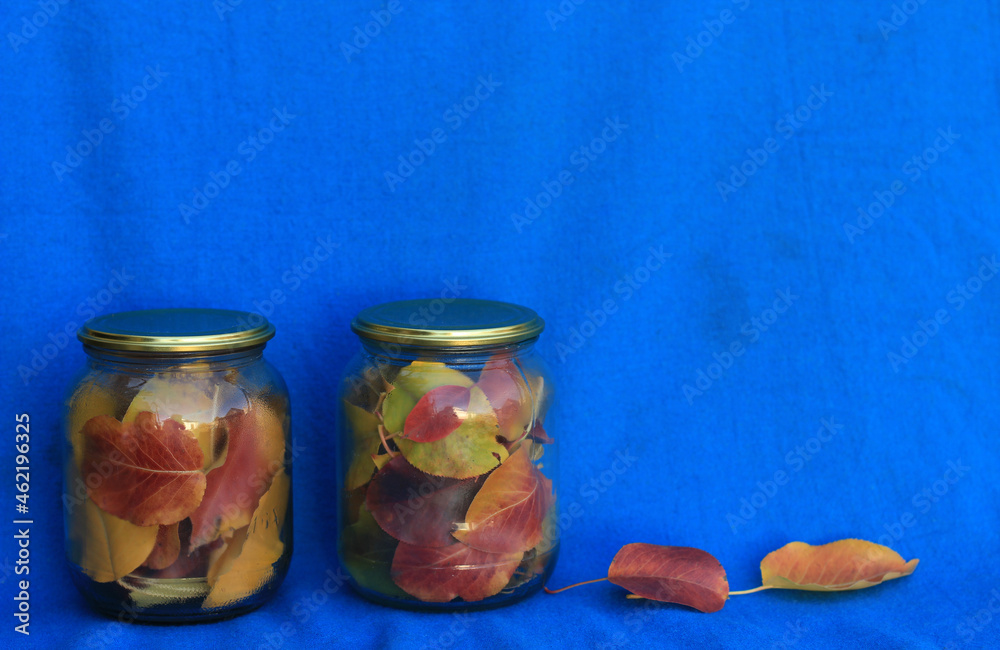 Autumn leaves in jars on a blue background. Preservation. Saving memories. Autumn leaves in jars on a blue background. Preservation. Saving memories.