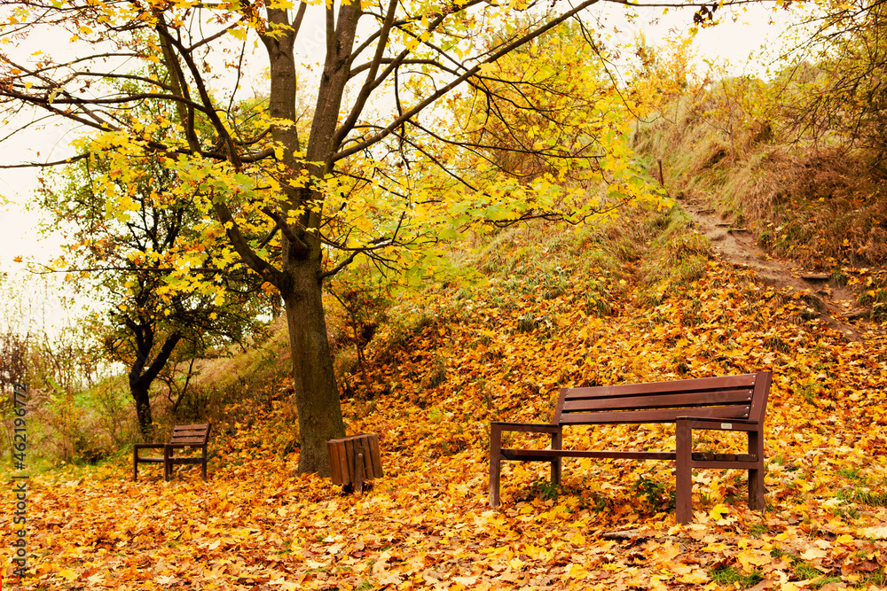empty bench in autumn city public park