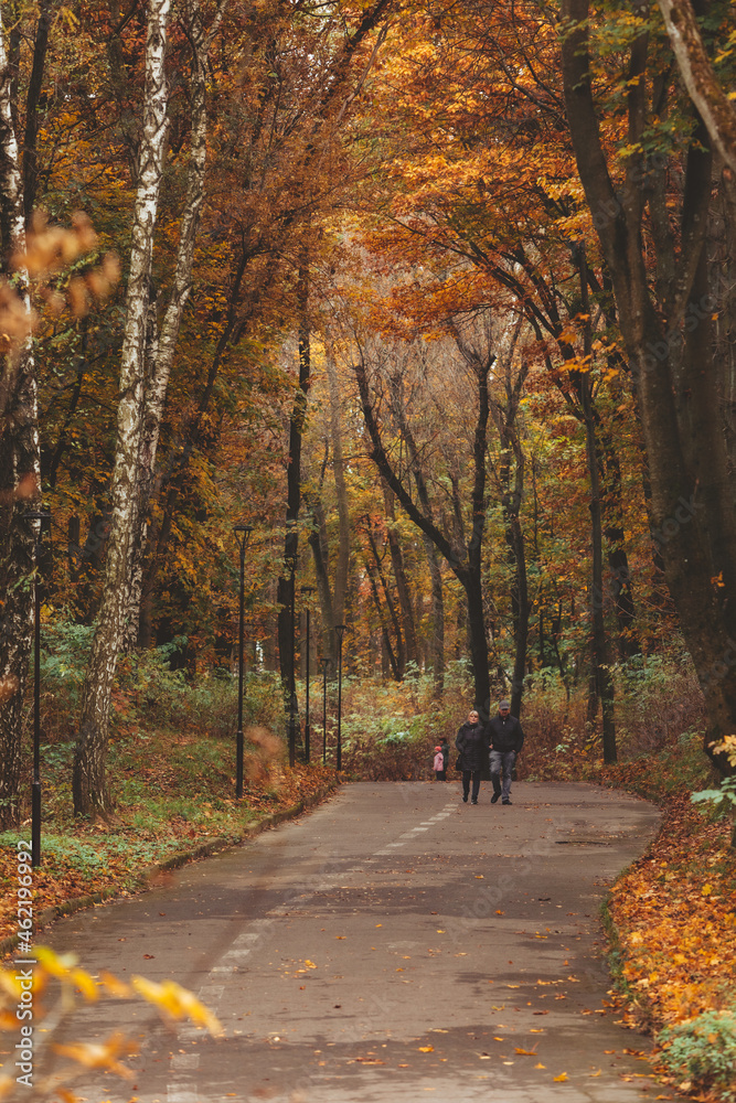 Fototapeta premium Lviv, Ukraine - November 2, 2020: people walking outdoors by autumn city park
