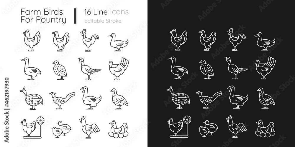 Farm birds for poultry linear icons set for dark and light mode. Domestic birds. Ducks and geese husbandry. Customizable thin line symbols. Isolated vector outline illustrations. Editable stroke Farm birds for poultry linear icons set for dark and light mode. Domestic birds. Ducks and geese husbandry. Customizable thin line symbols. Isolated vector outline illustrations. Editable stroke