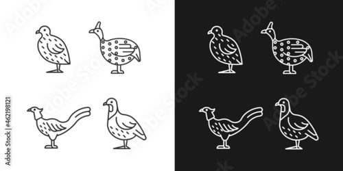 Landfowl linear icons set for dark and light mode. Japanese quail. Pheasant family. Guinea fowl. Customizable thin line symbols. Isolated vector outline illustrations. Editable stroke