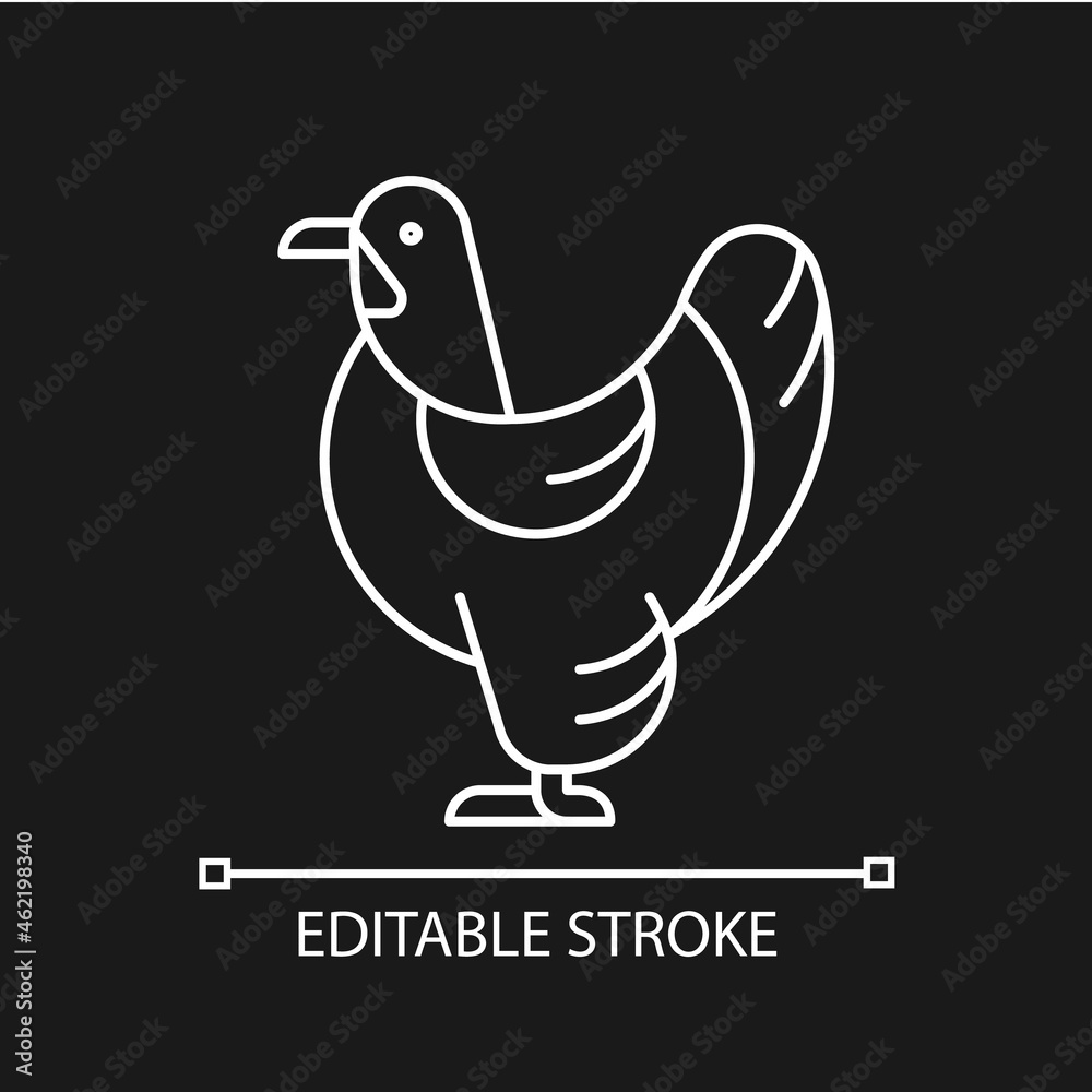 Brahma hen linear icon for dark theme. American chicken breed. Poultry ...