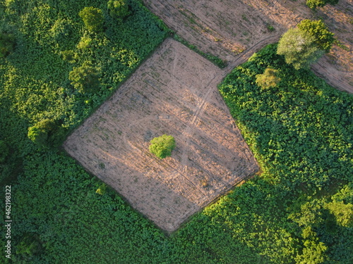 Aerial photograph of green agricultural plots with vacant land waiting to be planted
