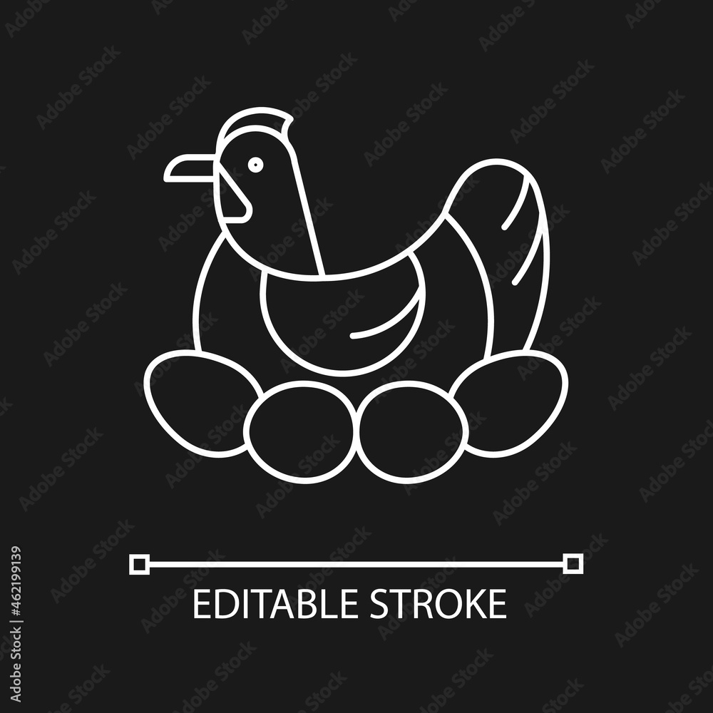 Brood hen linear icon for dark theme. Bird sitting on egg clutch to incubate chicks. Nesting fowl. Thin line customizable illustration. Isolated vector contour symbol for night mode. Editable stroke