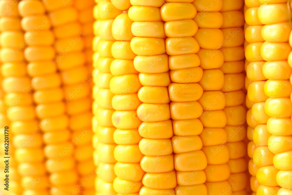 Fototapeta premium details shot of Sweet corns on table 