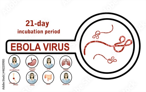 Ebola virus disease, flat vector illustration.