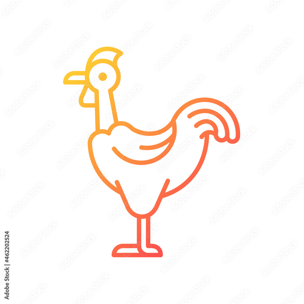 Transylvanian chicken gradient linear vector icon. Naked neck chicken ...