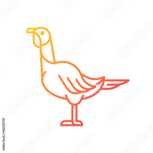 Female turkey gradient linear vector icon. Poultry farming. Domestic bird growing for meat. Thanksgiving dinner. Thin line color symbol. Modern style pictogram. Vector isolated outline drawing