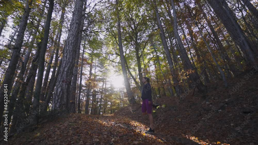 Young slim lady warm up before jogging outdoor. Sportswoman in comfortable tracksuit does knee to chest exercise standing among picturesque autumn forest at bright sunlight low angle shot Young slim lady warm up before jogging outdoor. Sportswoman in comfortable tracksuit does knee to chest exercise standing among picturesque autumn forest at bright sunlight low angle shot