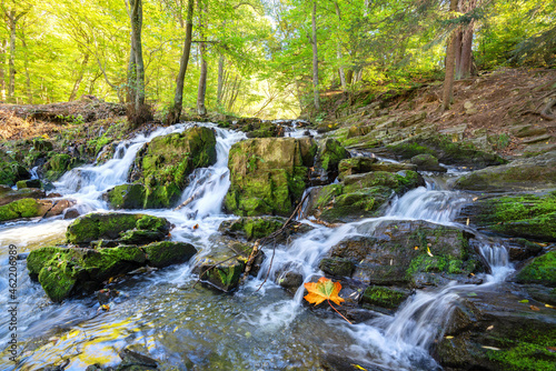 Fototapeta Naklejka Na Ścianę i Meble -  Wasserfall im Herbstwald