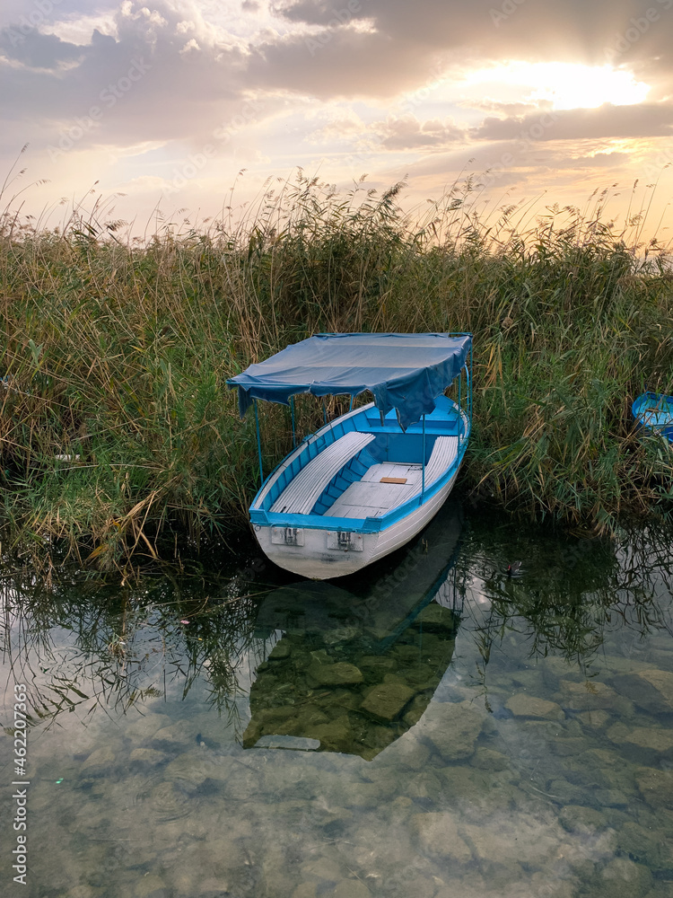 Obraz premium Lonely boat in the reeds on the lake, sunset time