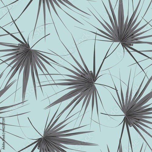 Tropical seamless pattern with exotic black white fan palm leaves. Blue background.