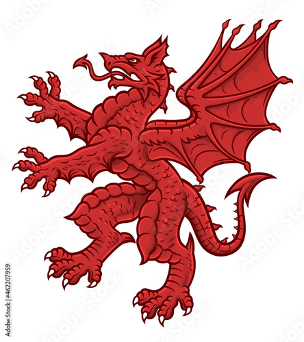Vector heraldic red dragon on the white background.