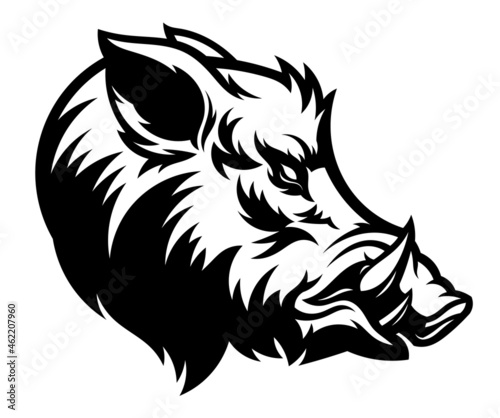 Photo Wild boar head black and white