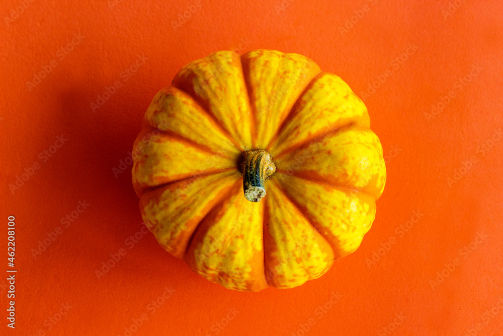 Close up of pumpkin. Pumpkin on the orange background. Selective focus on the decorative halloween pumpkin. Still life food. Halloween concept. Close up of pumpkin. Pumpkin on the orange background. Selective focus on the decorative halloween pumpkin. Still life food. Halloween concept.