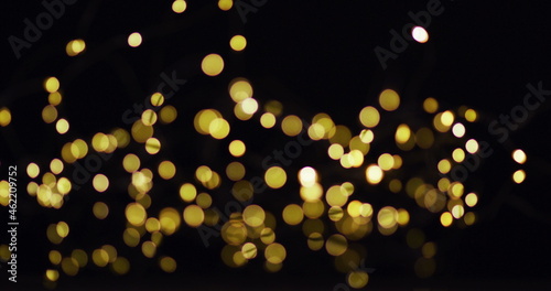Multiple gold fairy lights glowing on black background © vectorfusionart